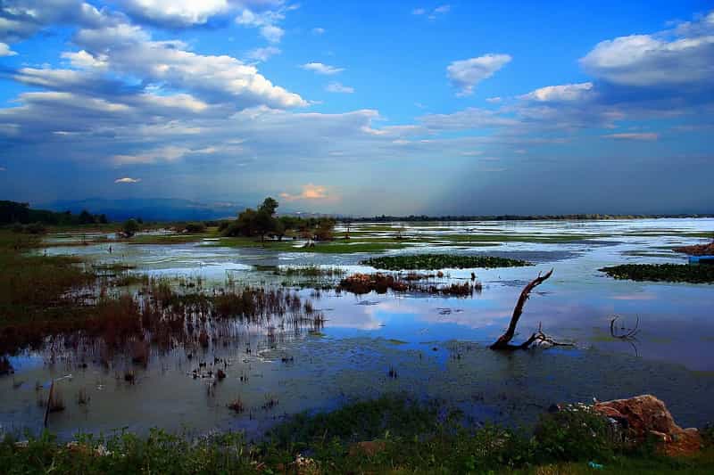 Dusk in kerkini lake in central macedonia greece