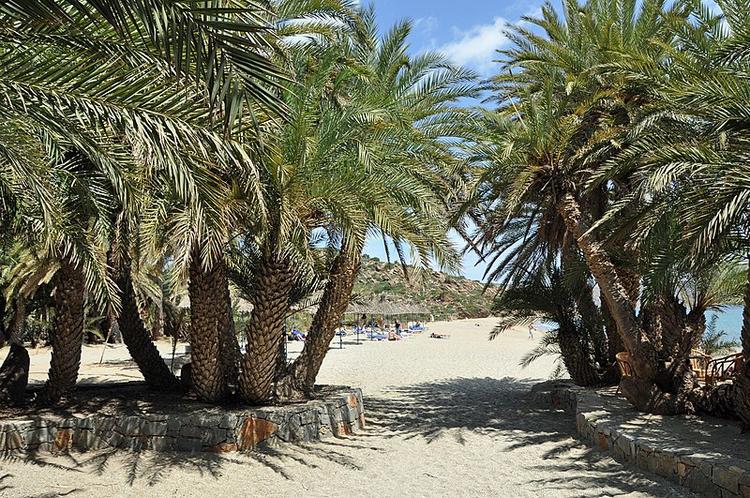 the vai palm beach in lasithi hides behind a set of palm trees